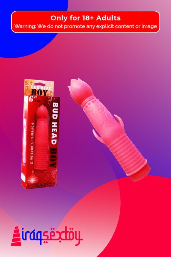 Bud Head Boy Fun Vibrator FV-001